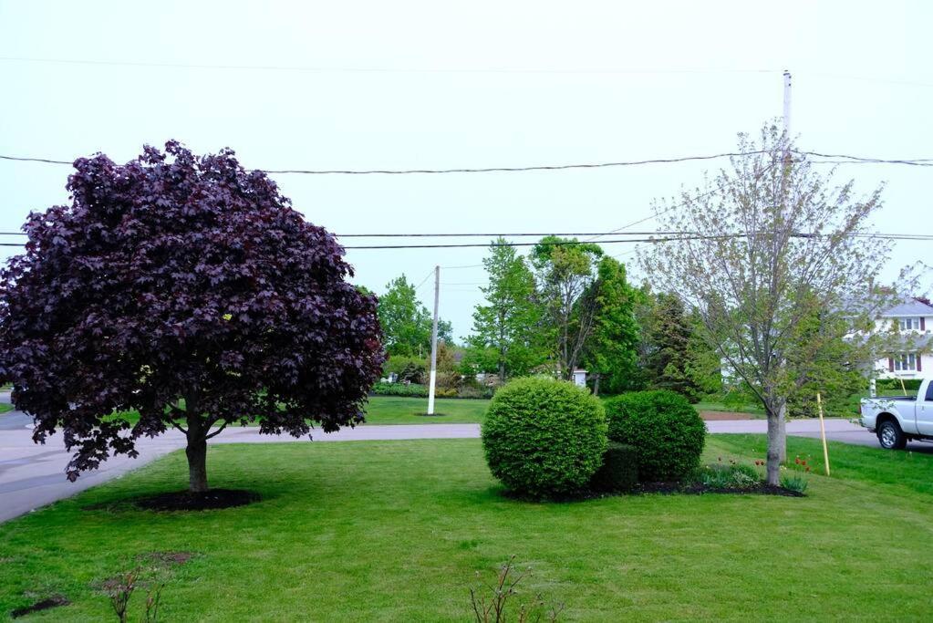 Katie Entire Basement 3 Bedrooms Charlottetown Luaran gambar